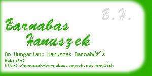 barnabas hanuszek business card